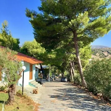 Venus Hotel 3*